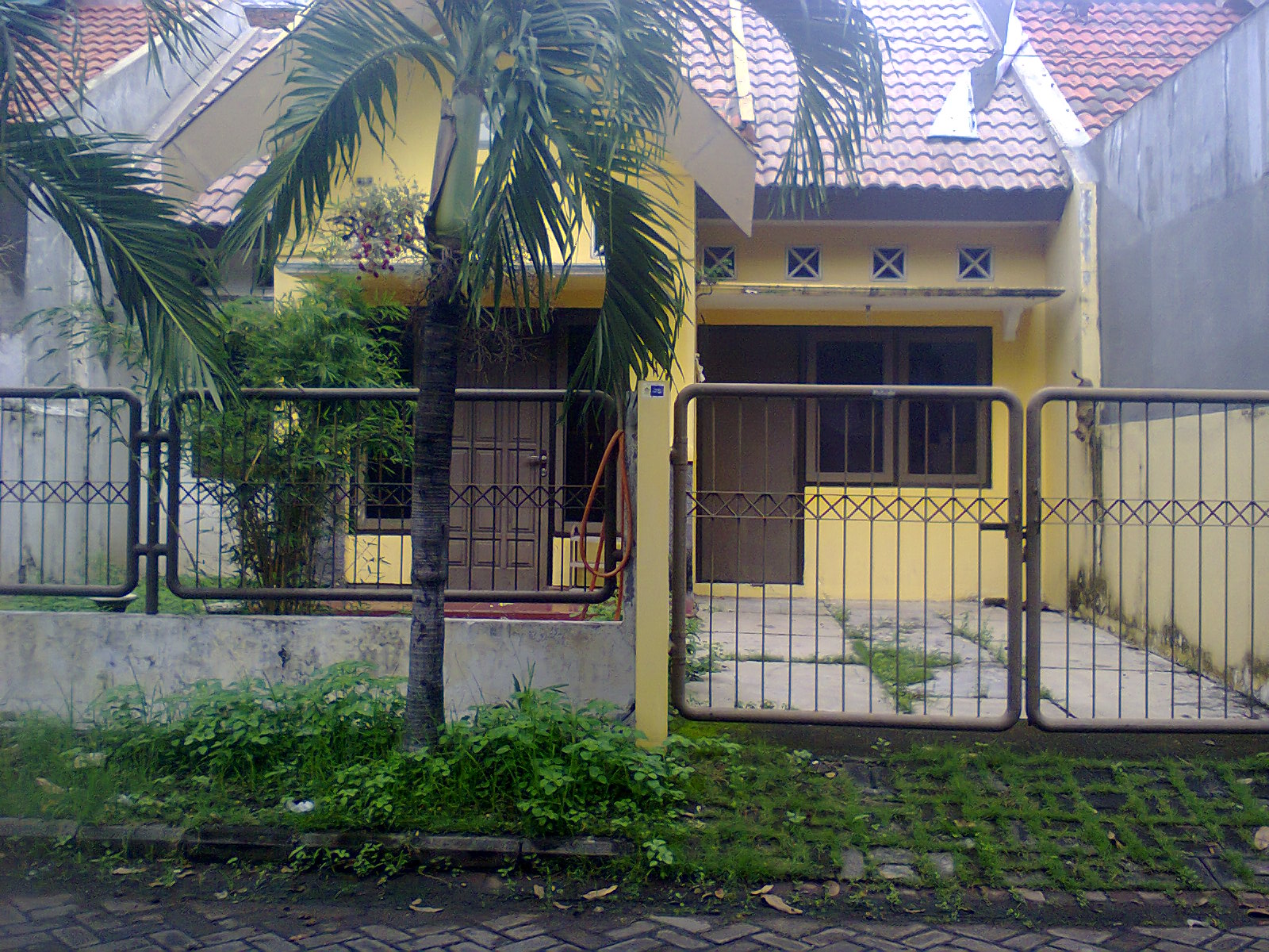  rumah  dan tanah dijual  dijual  rumah  wilayah sidoarjo  area 