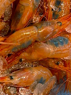 Gambas o Langostinos, frescos o congelados