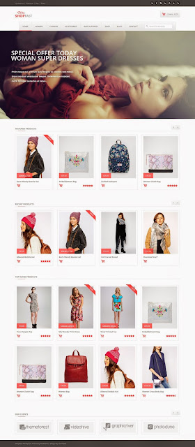 WordPress Woocommerce Theme 2015