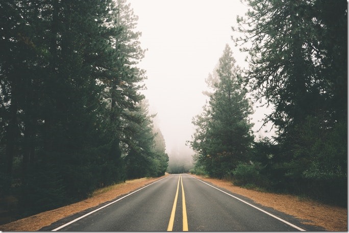 road-street-forest-fog