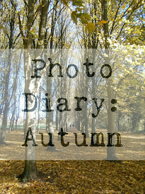 Autumn photo diary photography blogger thriftyvintagefashion  