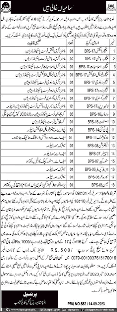 Balochistan Residential College Jobs Lecturers