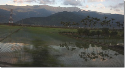 IMG_1429_1