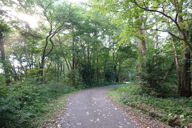 大山寺に向かう行く左手の旧道のような道路