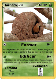 Cartas de Pokemon con Fauna uruguaya (Pradera) - Hornero