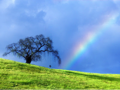 Amazing Rainbow Wallpaper | High Resolution 1600 x 1200