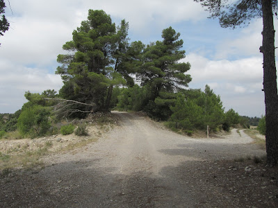 GR-175 Rocafort de Queralt a Vallbona de les Monges, camí de Vallbona