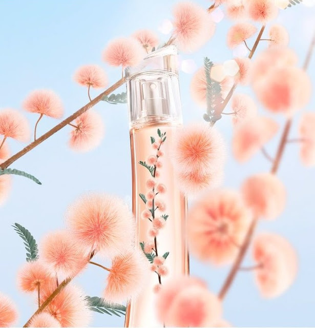 El Perfume del Mes ? ?Flower Ikebana Mimosa? de KENZO