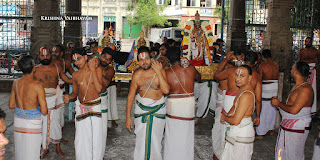 Kodai Utsavam, Tholukiniyaan, Purappadu,Video, Divya Prabhandam,Sri Parthasarathy Perumal, Triplicane,Thiruvallikeni,Utsavam,