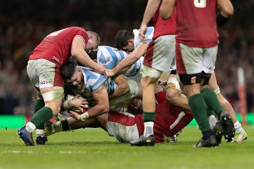 Los Pumas cayeron ante Gales