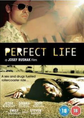 Watch Perfect Life 2010 BRRip Hollywood Movie Online | Perfect Life 2010 Hollywood Movie Poster