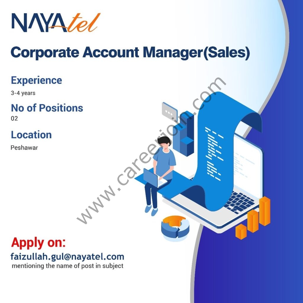 Nayatel Jobs Corporate Account Manager Sales