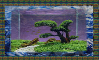 Aquascape Tema Bonsai