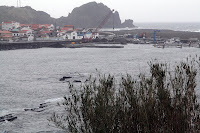 Café Portugal - PASSEIO DE JORNALISTAS nos Açores - Lajes do Pico - Lajes do Pico