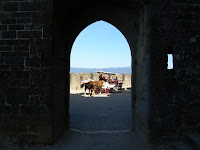 carcassonne