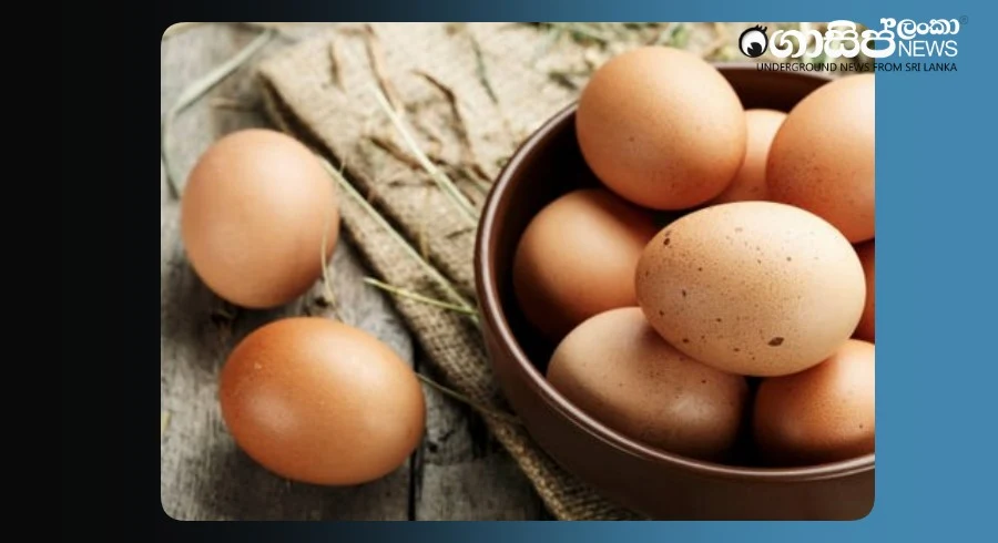india-eggs-issue