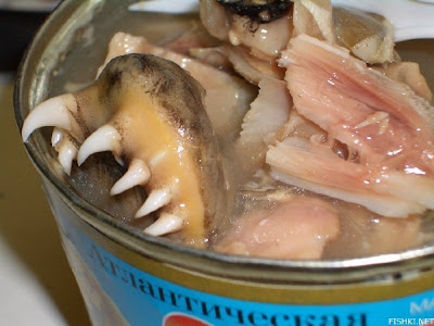 lata atún cosa extraña canned tuna strange