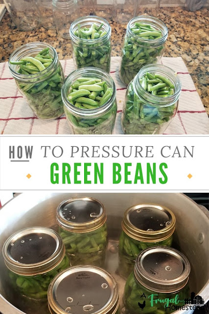 Learn how to can green beans with a pressure cooker and this simple tutorial and recipe.