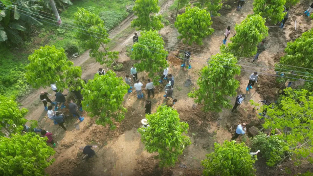 Aerial photo of "Yuxian Forest" tree planting activity