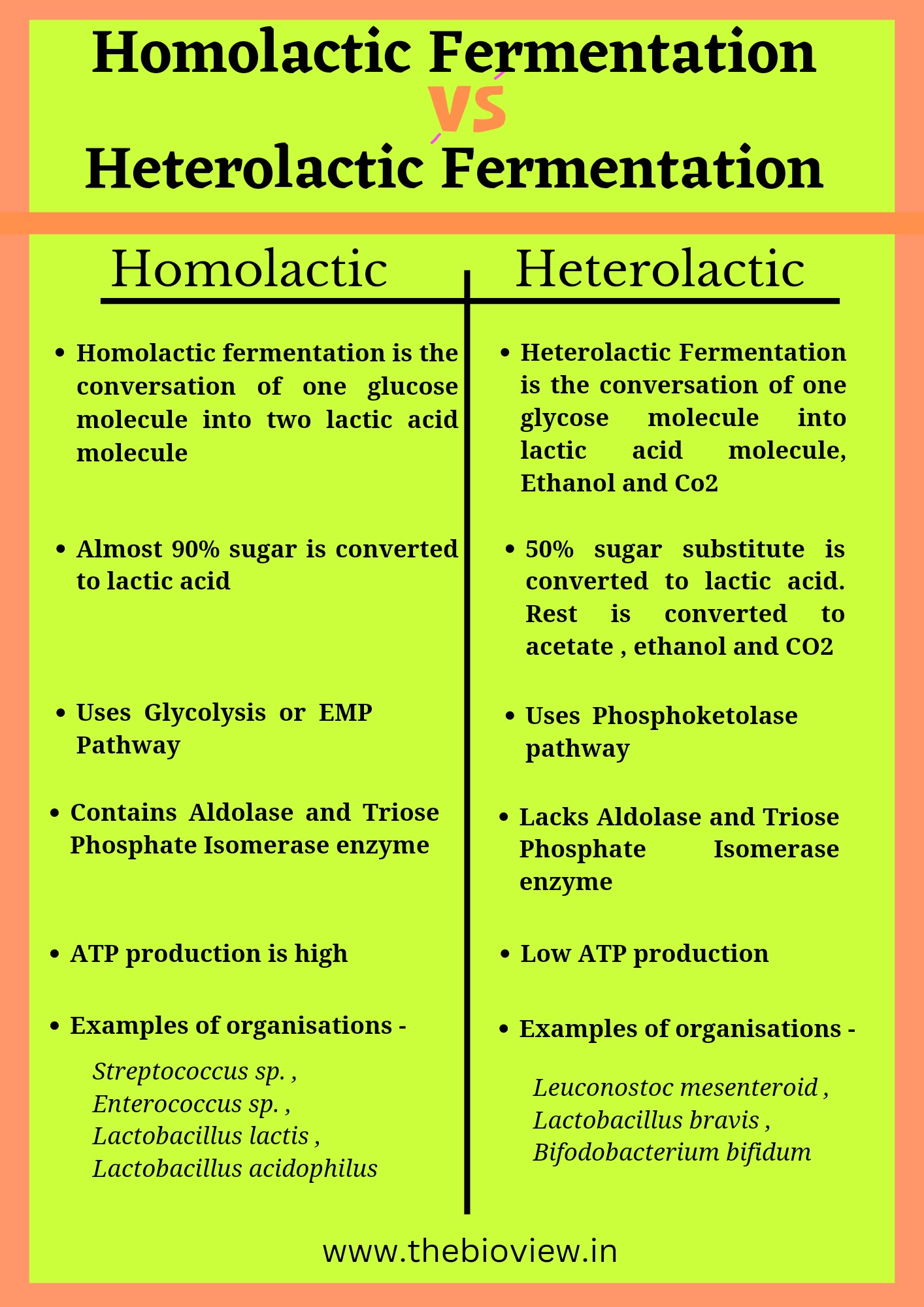 Difference between Homolactic Fermentation and Heterolactic Fermentation