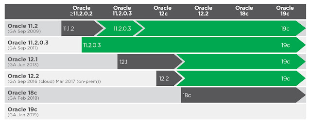 Oracle 19c, Oracle Database Certification, Oracle Database Study Material, Oracle Database Tutorial and Material, DB Exam Prep