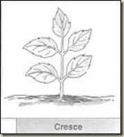 clip_image008