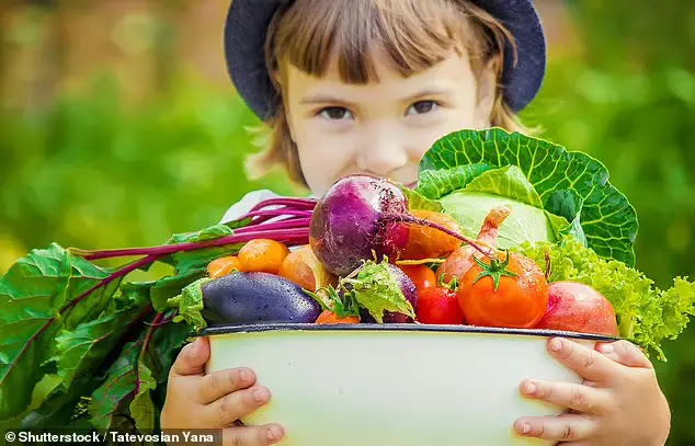 Best Vegetarian Child’s Diet