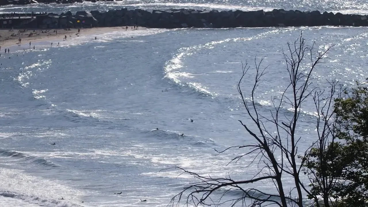 Summer surfing vibes in San Sebastian