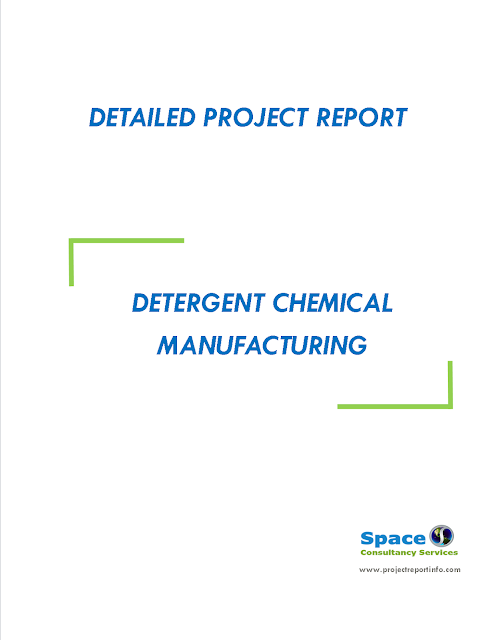 Project Report on Detergent Chemical Manufacturing