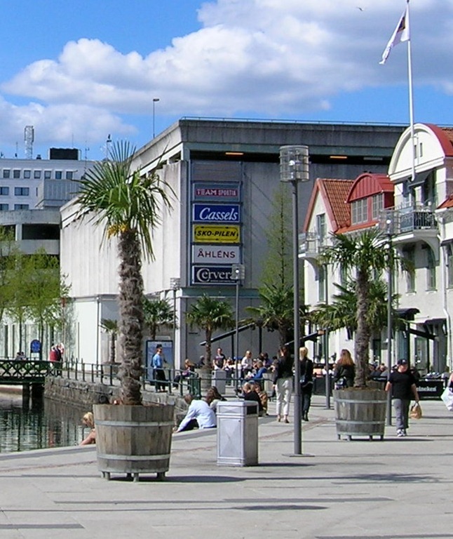 DSCN3324-1