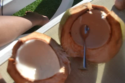 " Coconut from hotel Torarica in Paramaribo"