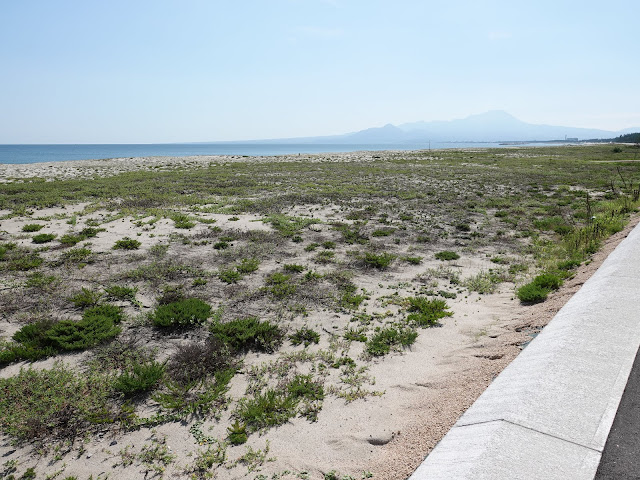 弓ヶ浜海岸の遊歩道を帰ります