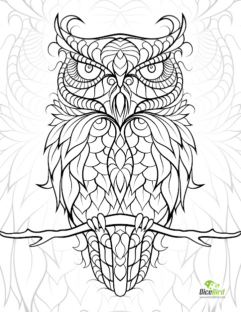 Owl Adult Coloring Book 