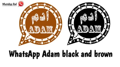 WhatsApp Adam black and brown 2024