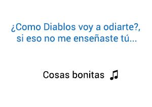 Fanny Lu Jorge Celedón Cosas Bonitas significado de la canción.