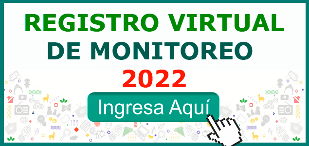 REGISTRO VIRTUAL DE MONITOREO 2022