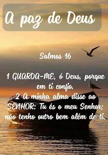 Bela mensagem de fé para refletir foi capaz de repaginar a minha vida #maisfé É necessário confiar no propósito Divino.