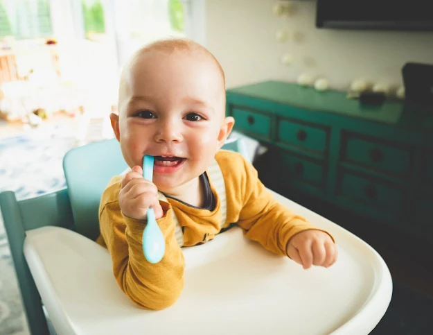 Infant baby brushing