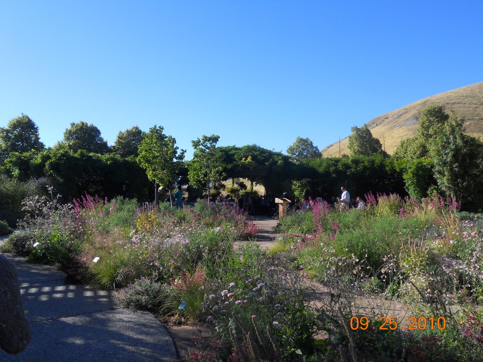 Red Butte Garden Salt Lake City My Scenic Byway