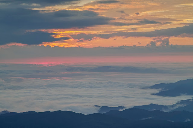 #photo #landscape #sigma #foveon #sdquattroh #japan #tsuruoka #写真 #風景写真 #山形帝國 #山形県 #鶴岡市