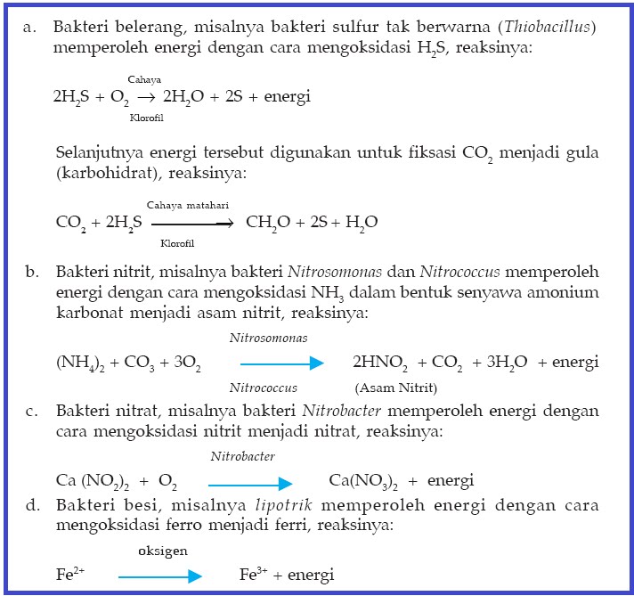 Materi Enzim Dan Metabolisme Kelas Xii Sma Smk