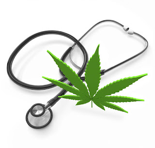 medical cannabis doctors