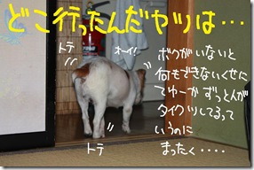 今日カズFinal 3