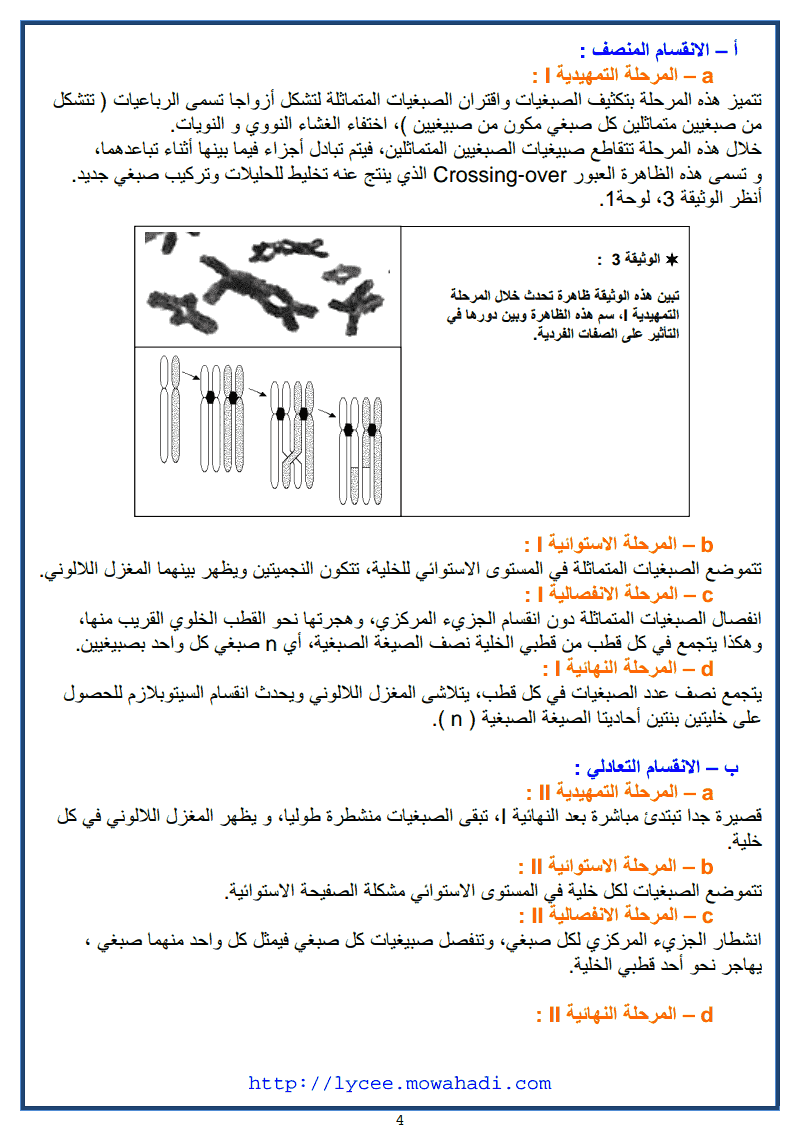  درس نقل الخبر الوراثي عبر التوالد -4