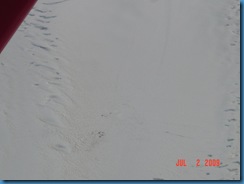 Climber's Base Camp on Kahiltna Glacier