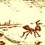 Ant_Monkeys+logo1.jpg