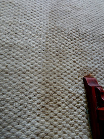 left side carpet clean, right side carpet still filthy. 