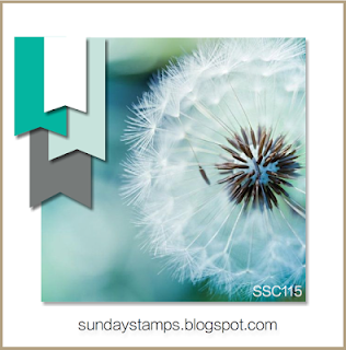 http://sundaystamps.blogspot.ca/2015/12/ssc115-its-cool.html