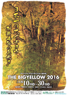 The Big Yellow 2016 poster 平成28年 日本一の大イチョウライトアップ ビッグイエロー 深浦町 Fukaura Town Nihon Ichi no Ooichou Light Up