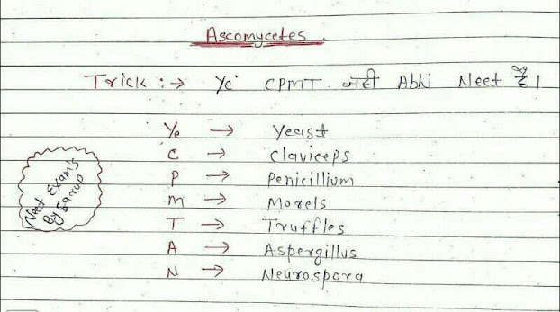 Short Trick to learn Ascomycetes [Mnemonic]